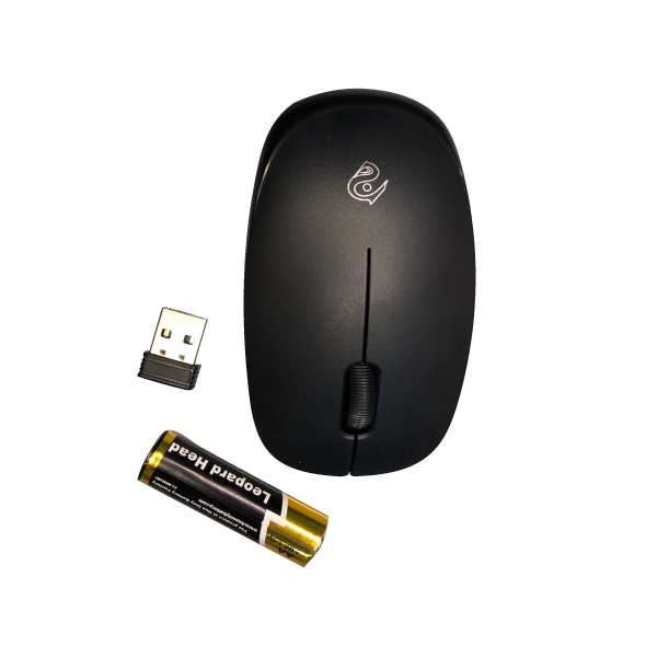Rizyue R10 Wireless Mouse – wireless dual mode mouse